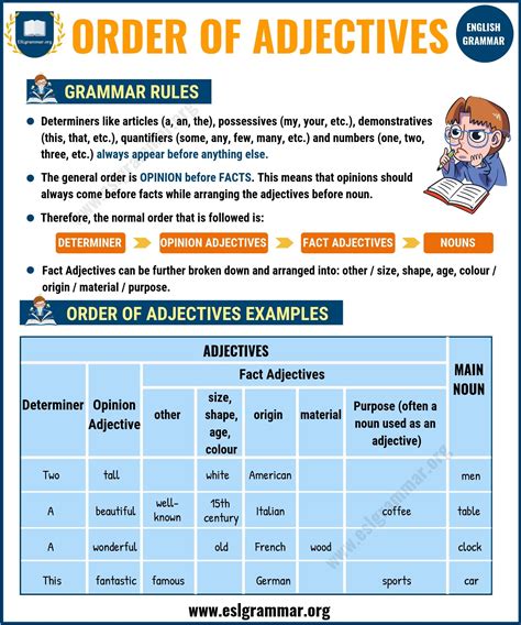 Adjectives 5 Types Of Adjectives With Definition And Useful Examples