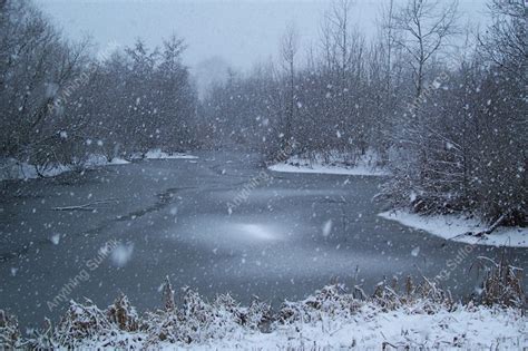 Needham Lake In The Snow By Helen Fairweather Anythingsuffolk A