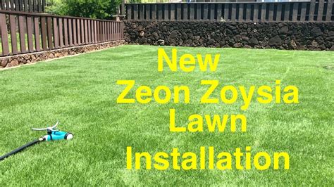 Zoysia grass lawns often look beautiful. Zoysia Grass Hawaii - Aumondeduvin.com