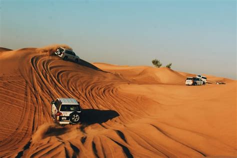 All You Need To Know About Desert Safari Adventure In Dubai Veena World