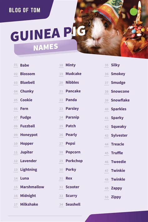 1000 Guinea Pig Names Cute And Funny Boy And Girl Ideas