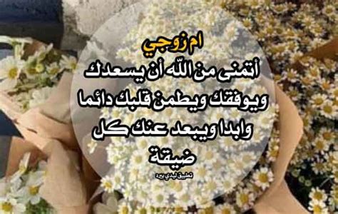 Check spelling or type a new query. حماتي - ليدي بيرد