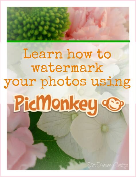 How To Watermark Your Photos Using Picmonkey You Are Talking Too Much