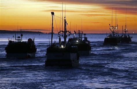 Nova Scotia Fishermen Concerned About Recent Thefts Of Live Lobster