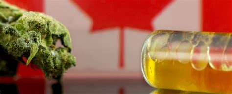 Verfolgen sie unsere analystenkonferenzen über die app! Die besten Cannabis Aktien 2020 - Von der Marihuana Aktien ...