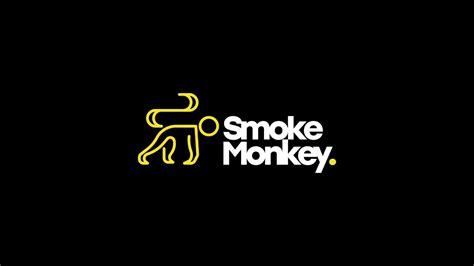 Smoke Monkey Rook Lekdetectie Esteam Youtube