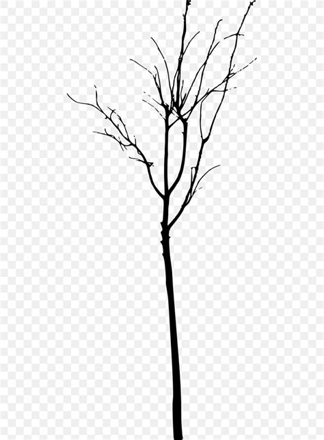 Twig Tree Branch Clip Art Png 481x1113px Twig Black And White