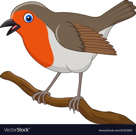 Vector Illustration Of Cartoon Beautiful Robin Bird Download A Free