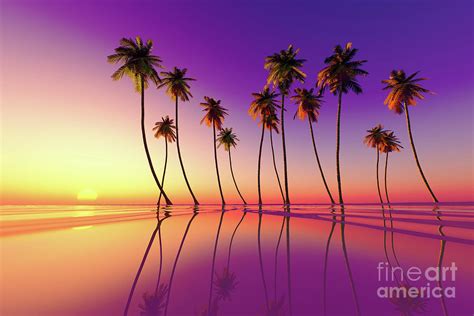 Tropical Sunset Purple Photograph By Aleksey Tugolukov