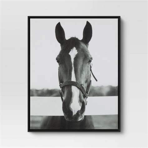 24 X 30 Black And White Horse Framed Canvas Threshold Frames On