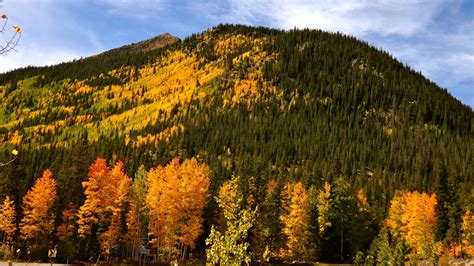 Colorado Fall Colors When And Where Leaves Will Peak In 2020