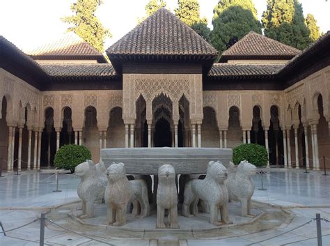 Growing up is a struggle, especially if you're a young male lion. Patio de los Leones - Wikipedia, la enciclopedia libre