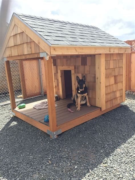 10 Outdoor Dog Kennel With House