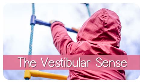 The Vestibular Sense What Is It And What Does It Do