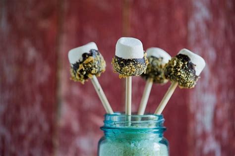 Smores Marshmallow Pops On A Stick Smores Recipe