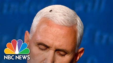 Fly on Pence's head generates buzz in VP debate - Times Caribbean Online