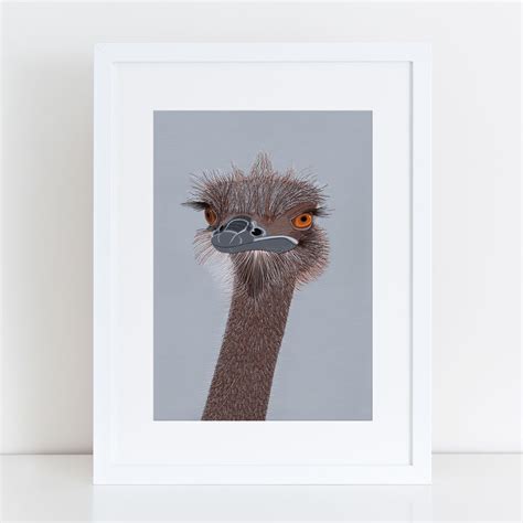 Ostrich Print Bird The Artist