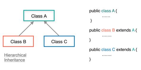 Java Inheritance Types Extends Class With Examples Eyehunts