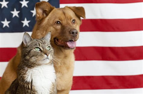 Find a petco pet store near you for all of your animal needs. Thank you, Veterans. - Joint Animal Services