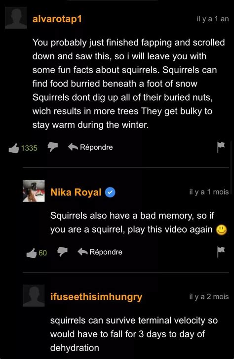 Squirrels Nudes In PornhubComments Onlynudes Org