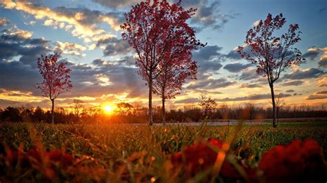 Fall Sunset Wallpapers Top Free Fall Sunset Backgrounds Wallpaperaccess