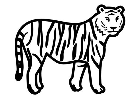 To print the coloring page Coloriage tigre debout - img 10491