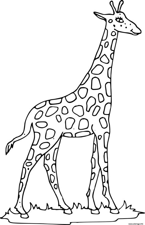 Coloriage Girafe Avec Un Long Cou