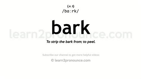 Pronunciation Of Bark Definition Of Bark Youtube