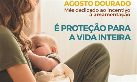 Agosto Dourado Mês De Conscientização Sobre A Amamentação Prefeitura