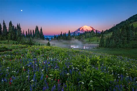 Mt Rainier National Park Washington Usa By Scott Eliot