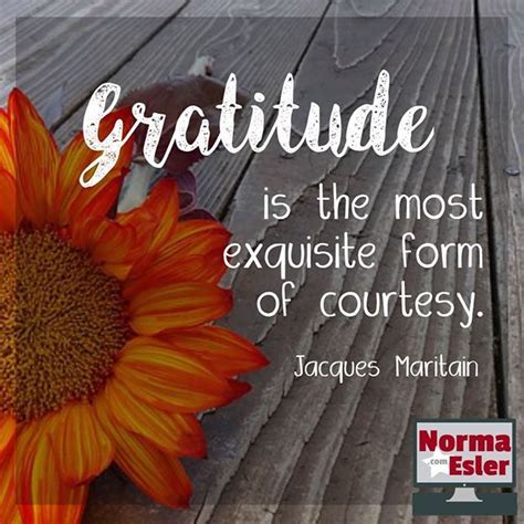 What Are You Grateful For Today Gratitude Quotes Chalkboard Quote