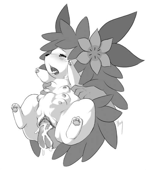 Post 283952 Porkyman Purplekecleon Shaymin