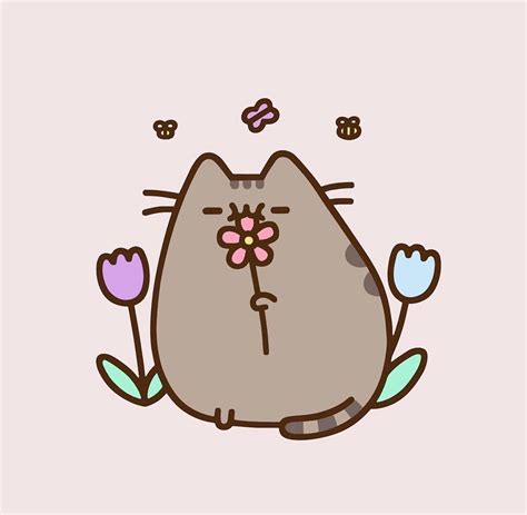 40 Cute Cat Drawing Pusheen Aleya Wallpaper