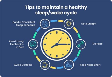what is circadian rhythm sleep foundation