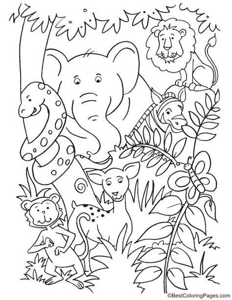 Animals Inside The Jungle Coloring Page Jungle Coloring Pages Animal
