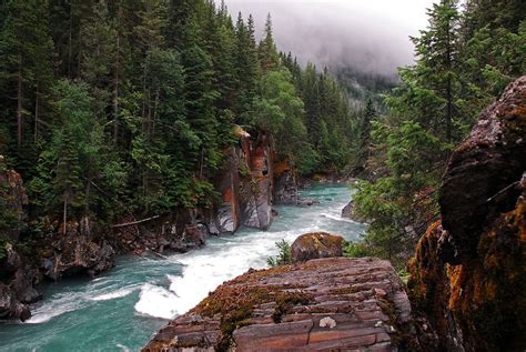 Headwaters Of The Upper Fraser River British Columbia Canada Fraser
