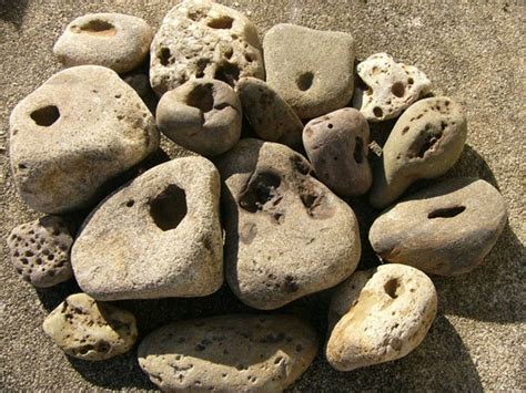 Unusual River Rocks With Holes And All Natural Creek Stones