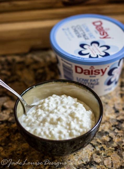 Perfect Daisy Cottage Cheese Recipes