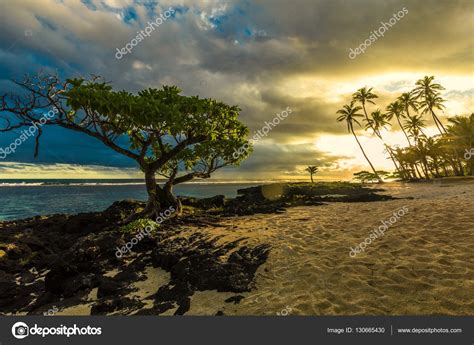 Tropical Beach On Samoa — Stock Photo © Mvaligursky 130665430
