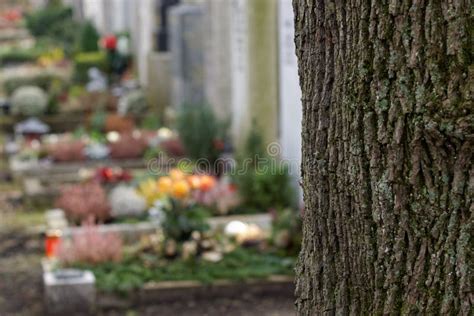 105 360 Graveyard Stock Photos Free Royalty Free Stock Photos From