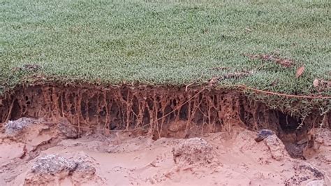 Help Customers Avoid Soil Erosion And Runoff Mirimichi Green