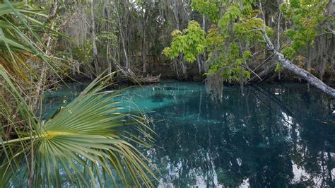 Maybe you would like to learn more about one of these? Hiking Crystal River | biking paddling camping | Florida Hikes