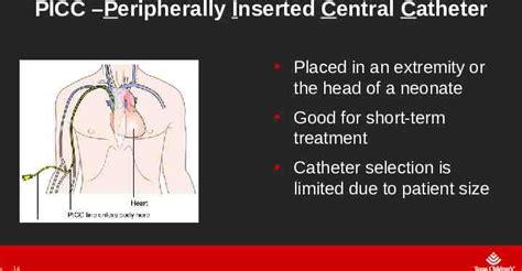 E Management Of Central Venous Catheters Theresa Reed Bsn Rn