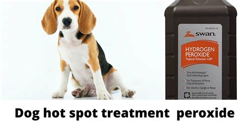 Dog Hot Spot Treatment Peroxide Hot Spot Dog Home Remedy