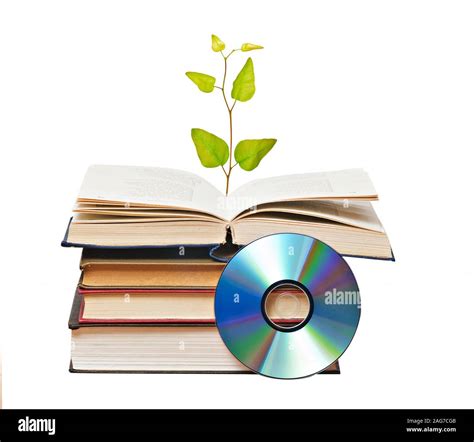 Tree Growing From Open Book Stock Photo Alamy