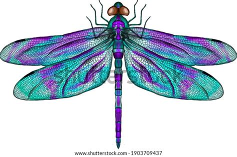 Purple Blue Dragonfly Delicate Wings Vector Stock Vector Royalty Free