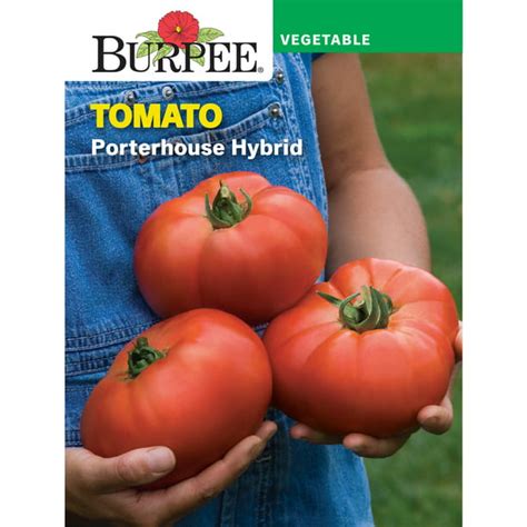 Burpee Porterhouse Hybrid Tomato Vegetable Seed 1 Pack