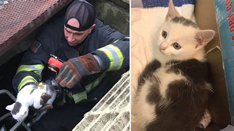 New Jersey Firefighters Rescue Kitten Stuck In Storm Drain 6abc Philadelphia