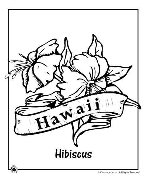 Flores Hawaianas Para Colorear