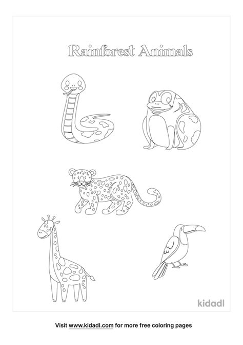 Rainforest Animals Coloring Page Free Jungle Animals Coloring Page